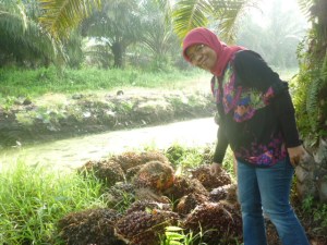 tina dan sawit