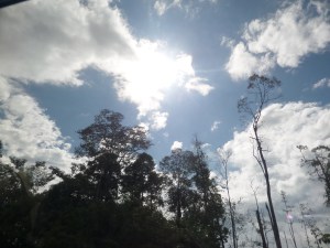 SAMSUNG CAMERA PICTURES