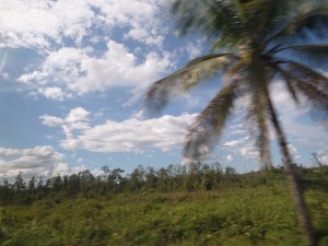 SAMSUNG CAMERA PICTURES