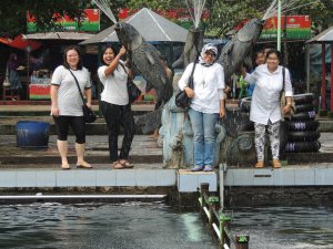 Kolam cibulan